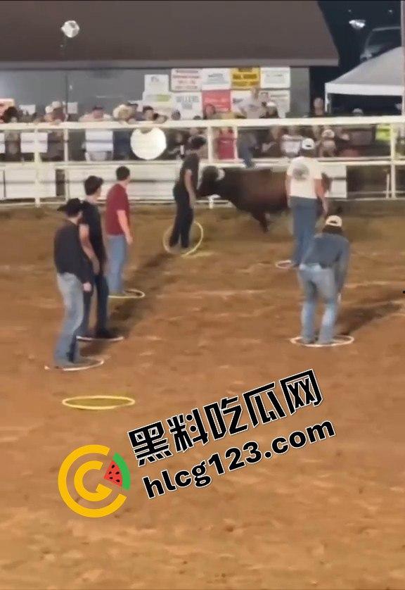 勇敢者的游戏：留在圈里拿10万美元？被牛撞一下骨折赚70万，这笔买卖真划算！