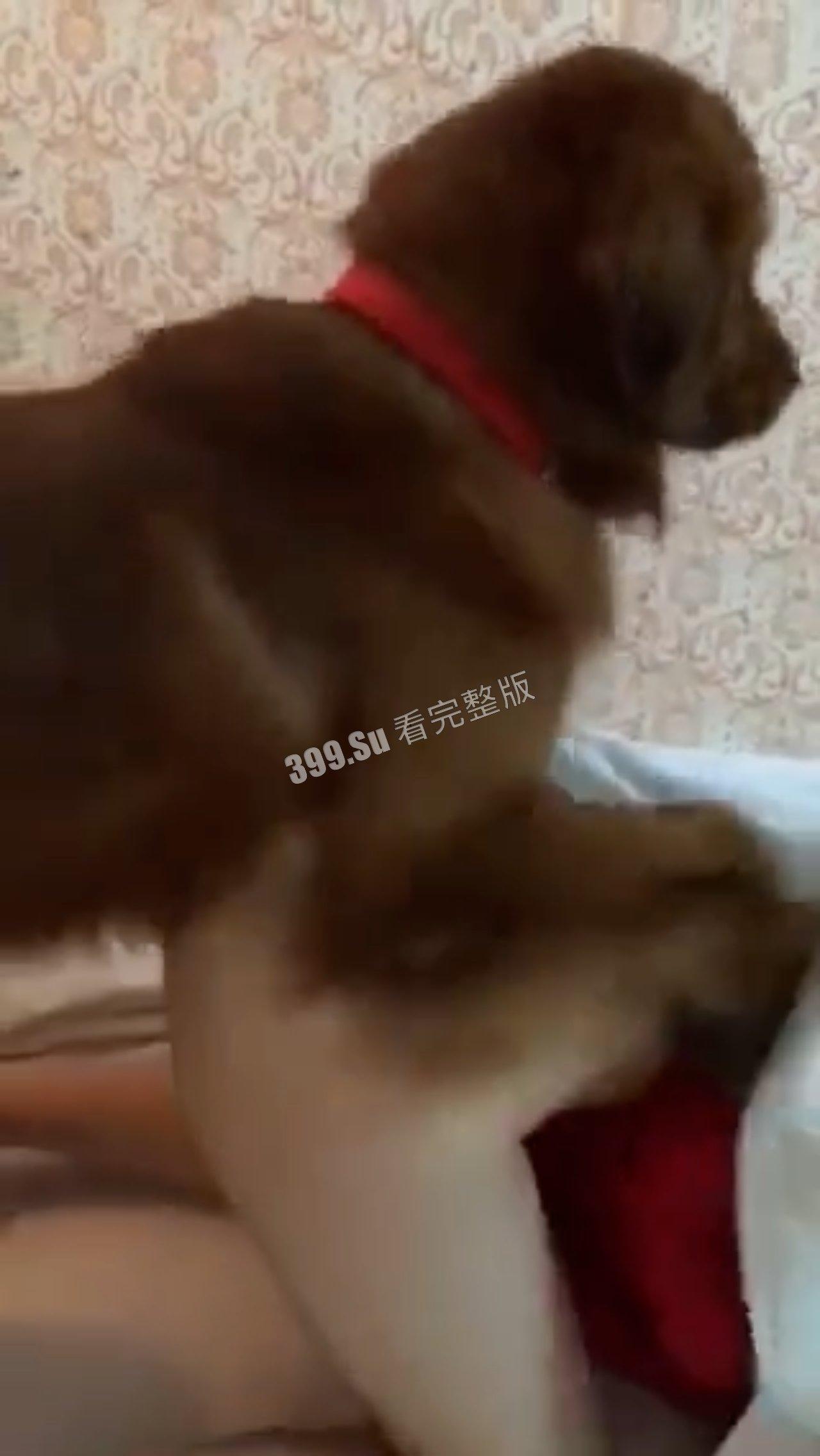 猎奇系列 人不能…至少不应该 （八）-3