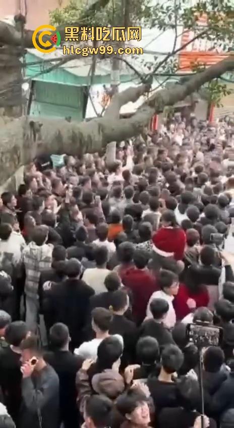 广东潮汕迎老爷因抢香炉爆发冲突,两边人马大大出手,好好的一个迎神活动搞成这样为啥呀!-8