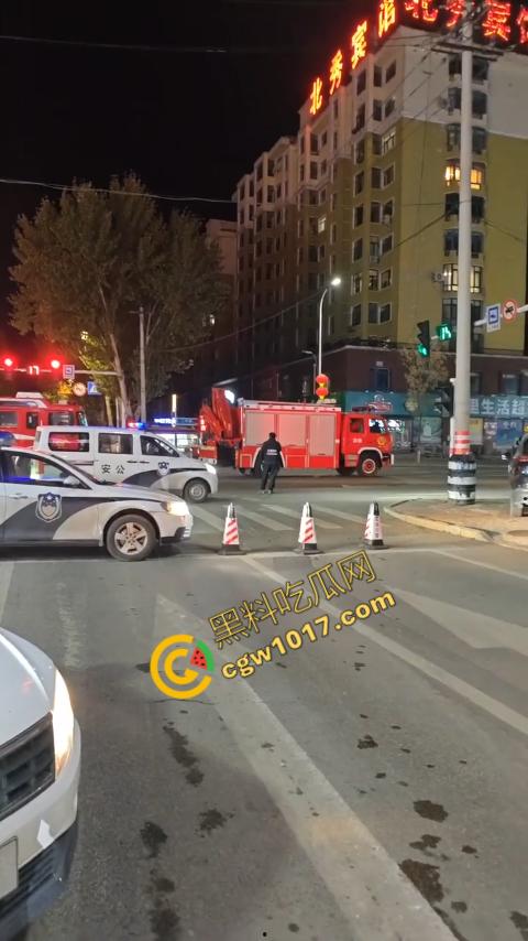 惊讶！宝清市街头惊现巨熊，警察开枪击毙，血洒街头，网友热议动物保护与城市安全！-8