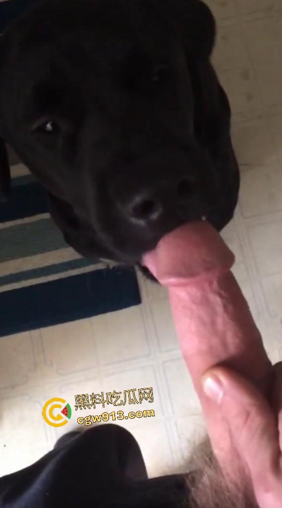 外国猛男与黑狗上演人兽大戏，叫自家黑母狗给自己口交舔鸡巴，还想撸管射精喂狗，这人狗情未了啊！-5