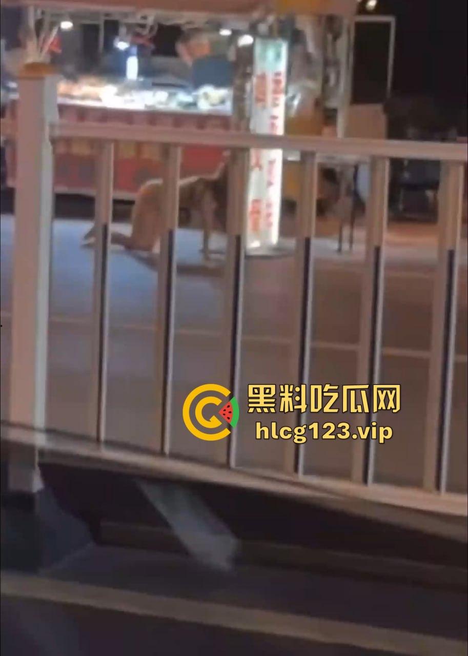 河北邢台快手网红吴媛媛吸毒后大街裸奔!性感长腿翘臀,精神小妹彻底玩嗨学狗爬行!-11