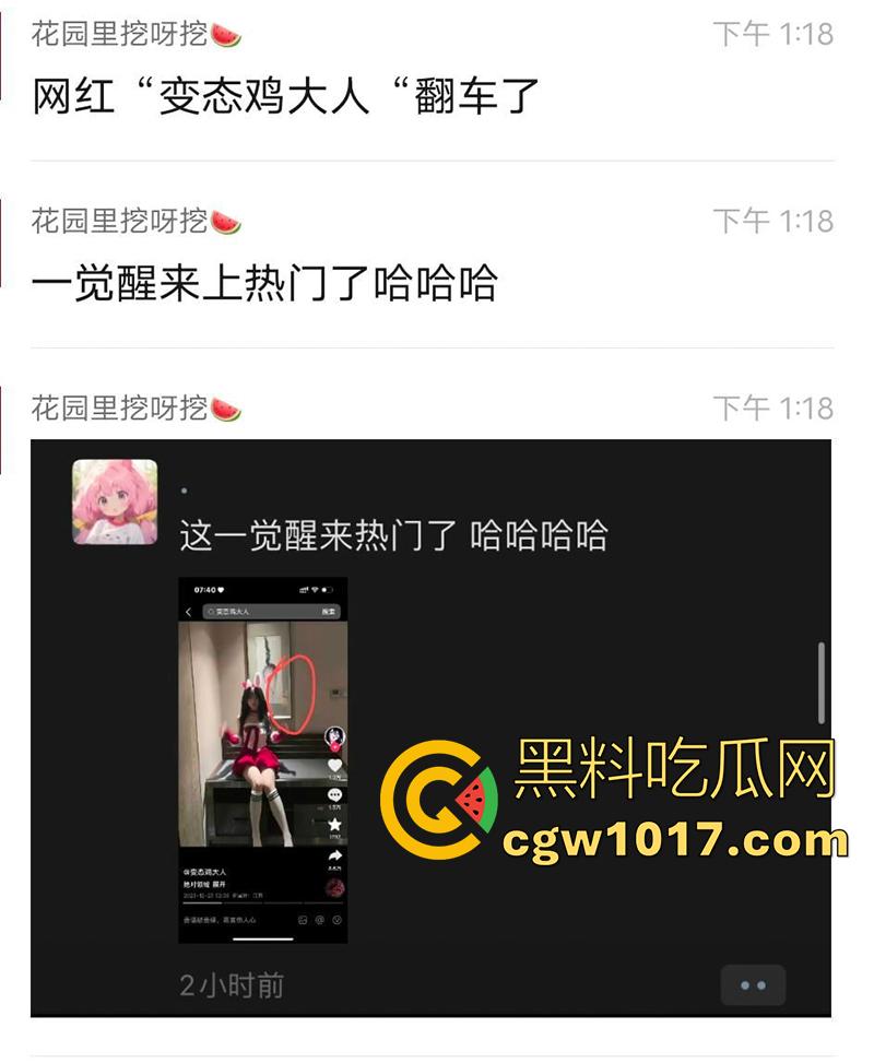 抖音网红【变态鸡大人】镜子门事件,一觉醒来天塌了,穿兔女郎圣诞战袍,约炮土豪视频流出,直接上热门了,就这还解释呢!-6