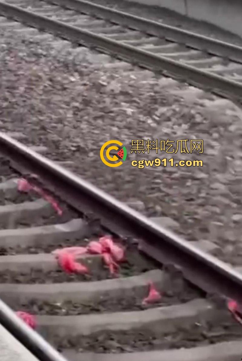 海外男子站台裸奔自杀，下定决心跳轨被火车碾压，身体碎片散落满地，画面血腥胆小勿入！-5