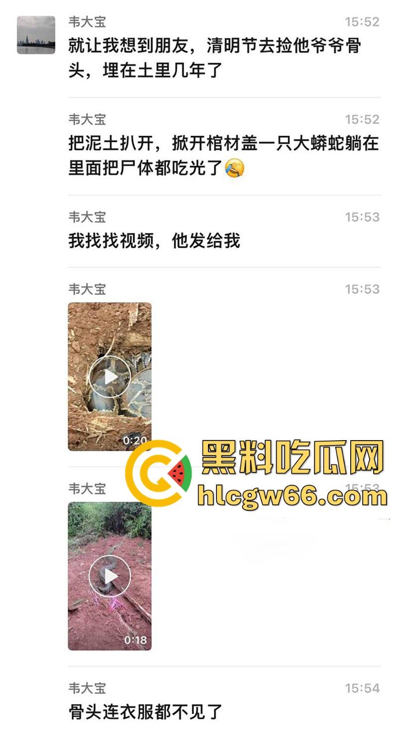 广西迁坟扫墓 棺材内惊现大蟒蛇 尸体被吃光 场面毛骨悚然 果然恐怖电影都源于现实啊!-1