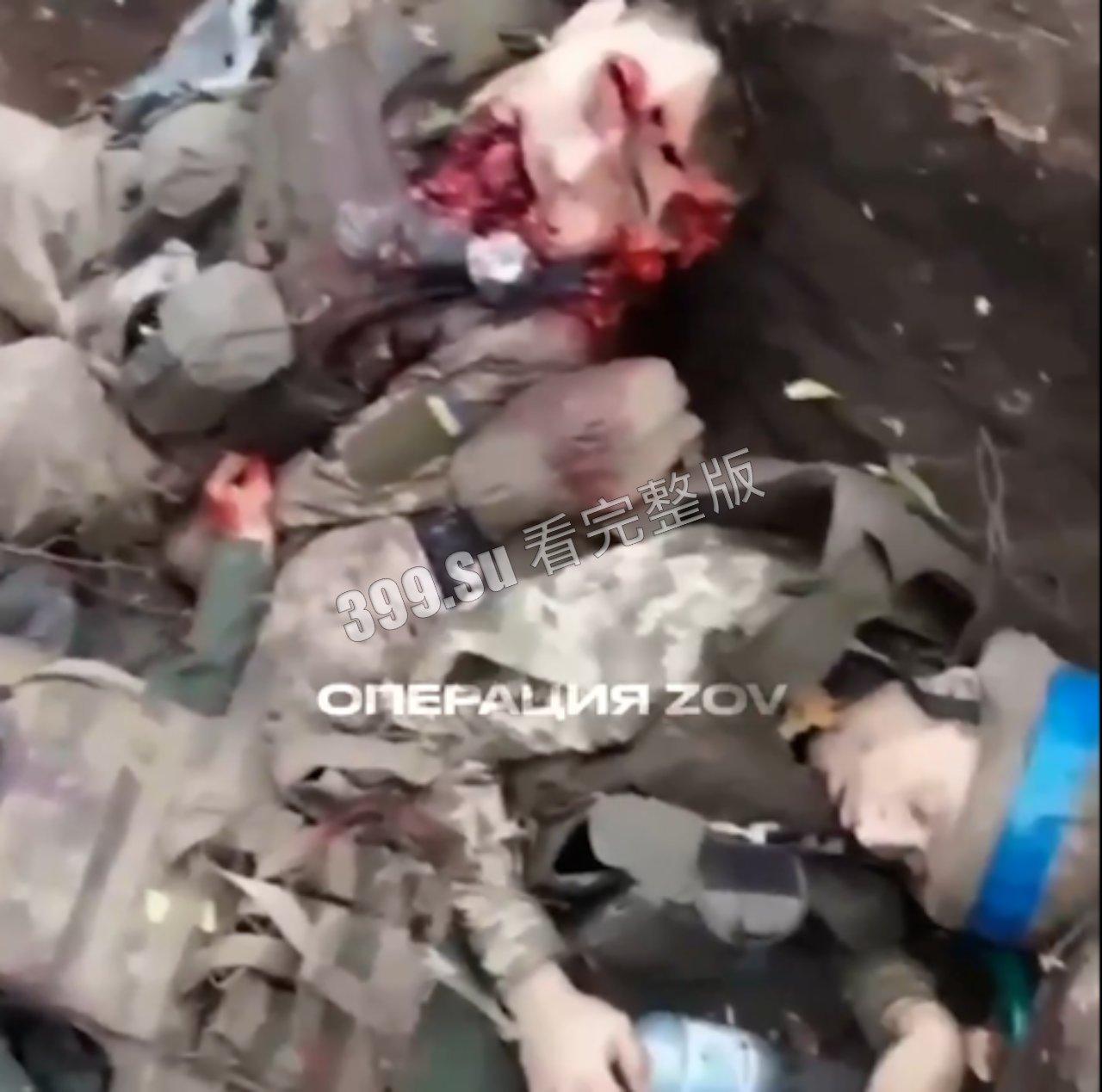 俄乌战争第一视角实录合集  现场只能用惨烈来形容  能留全尸的便算是幸运了  心理承受能力低的瓜友 勿点！！-4