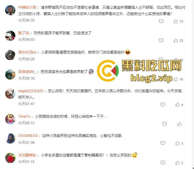 超熊男孩弩箭练杀技!虐猫升级还不够,下一步就是全家屠杀,老妈还在旁边玩消消乐-2