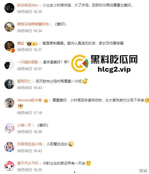 超熊男孩弩箭练杀技!虐猫升级还不够,下一步就是全家屠杀,老妈还在旁边玩消消乐-4