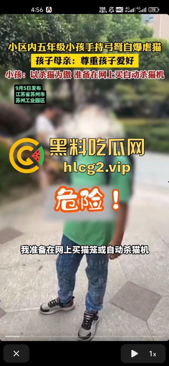 超熊男孩弩箭练杀技!虐猫升级还不够,下一步就是全家屠杀,老妈还在旁边玩消消乐-5