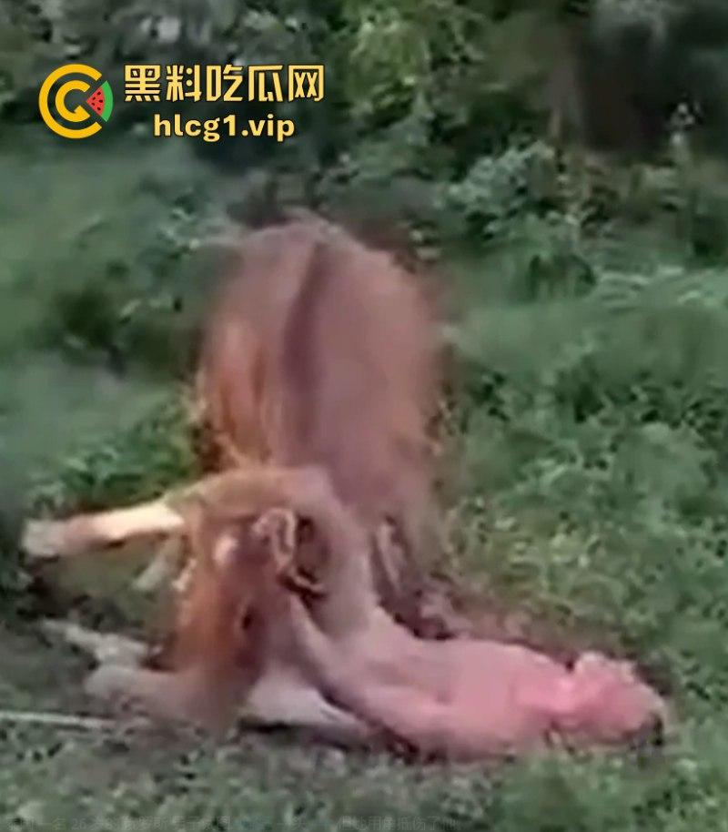 泰国一名26岁俄罗斯男子试图强奸牛妈妈 反被牛妈妈反杀!-4